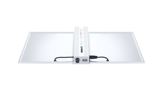 Nanolux RG 300 LED