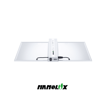 Nanolux RG 300 LED