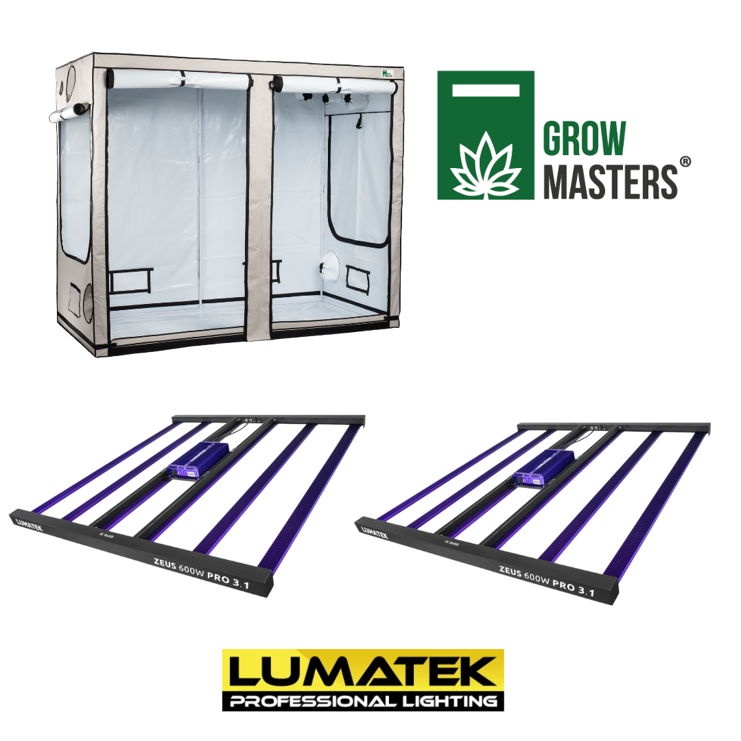 Grow Masters Set 240x120x120cm + Premium Led