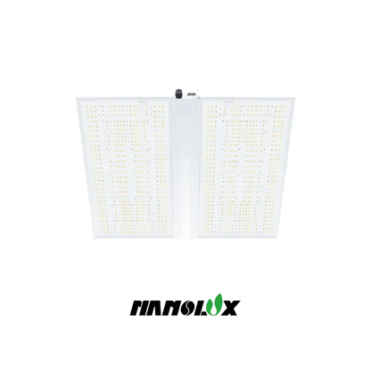 Nanolux RG 480 LED