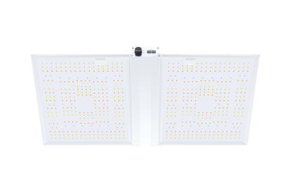 Nanolux RG 300 LED