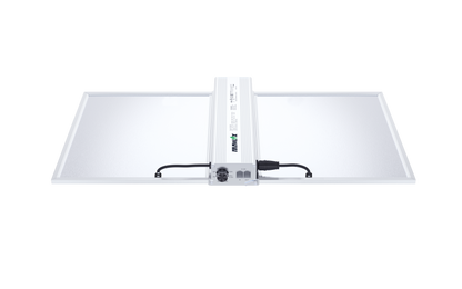 Nanolux RG 300 LED