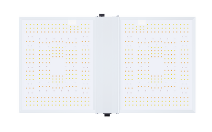 Nanolux RG 300 LED