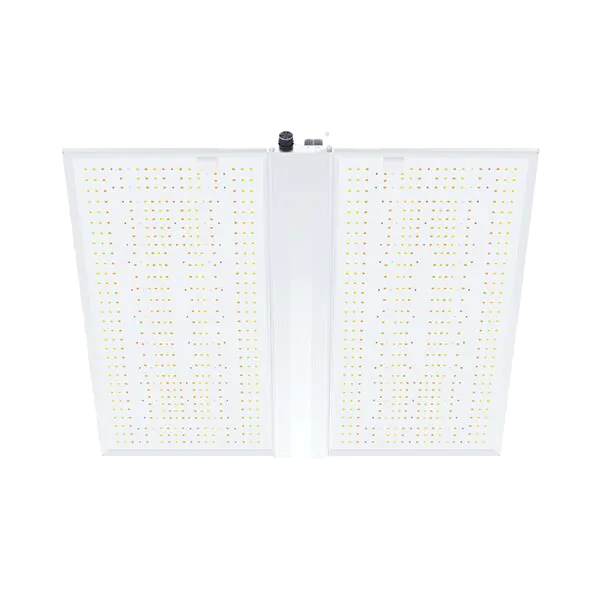 Nanolux RG 480 LED